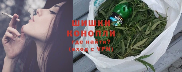 гашик Осинники
