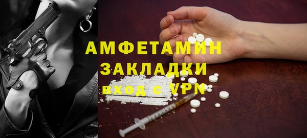 гашик Осинники