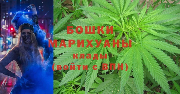 apvp Пересвет