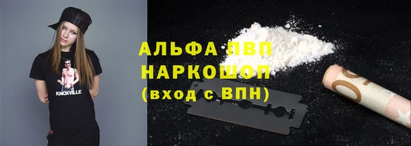 гашик Осинники