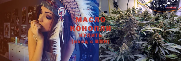 гашик Осинники