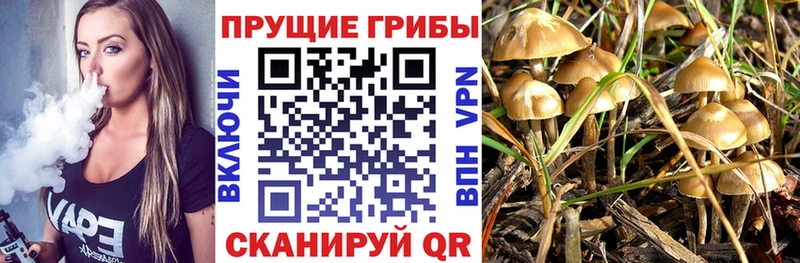 Галлюциногенные грибы ЛСД Искитим