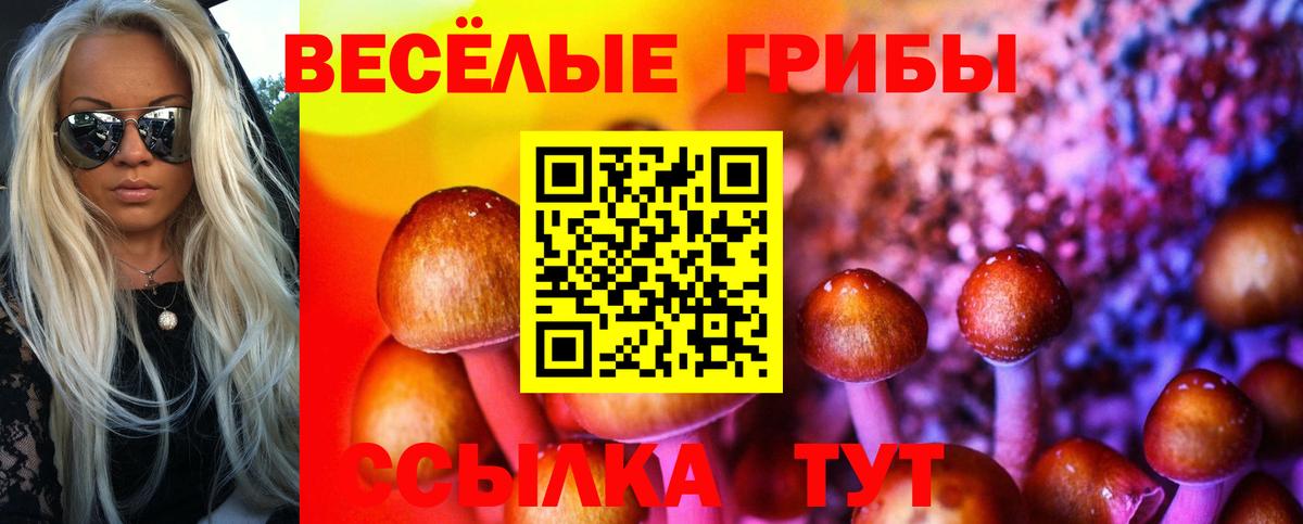 Псилоцибиновые грибы ЛСД Искитим
